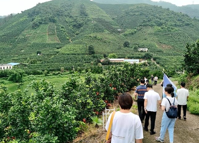 1625021377838152.png image.png