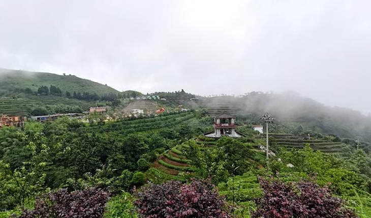 1625021464156645.png image.png