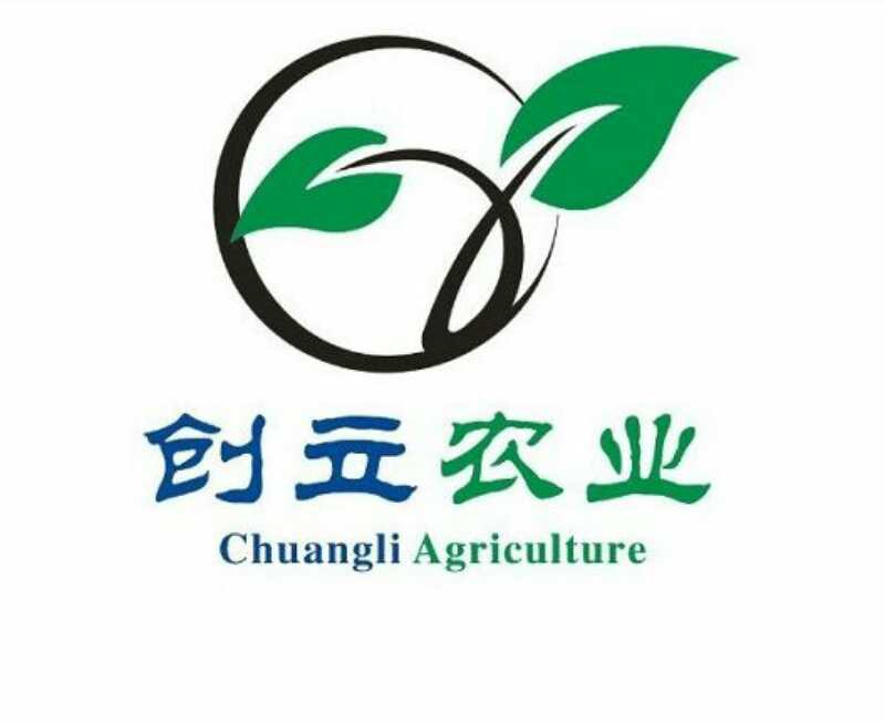 漳浦創盈實業有限公司